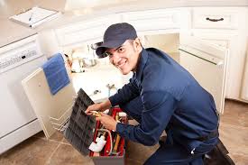 Best Residential Plumbing Services  in Locust Fork, AL